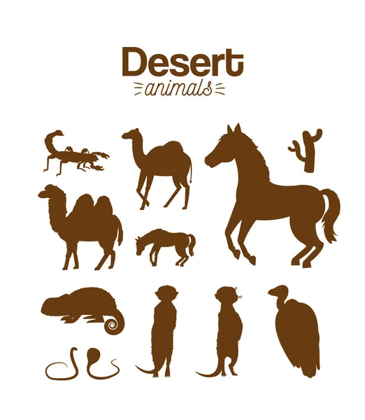 Animales del desierto dibujo a mano de dibujos animados — Archivo Imágenes Vectoriales