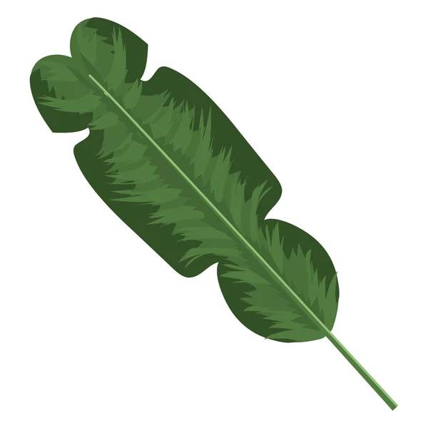 Folha vegetal isolada — Vetor de Stock