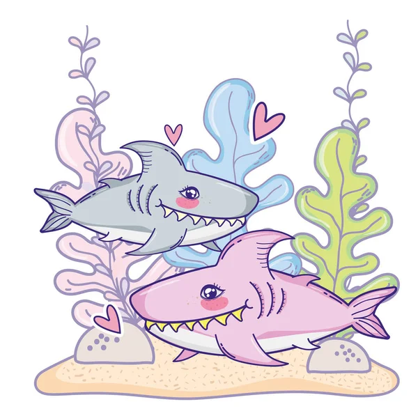 Cute shark couple animal with seaweed plants — Stock Vector
