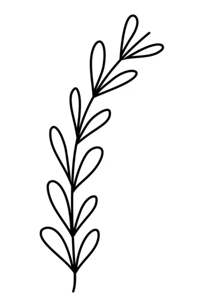 Outline tropical branch plant leaves style - Stok Vektor