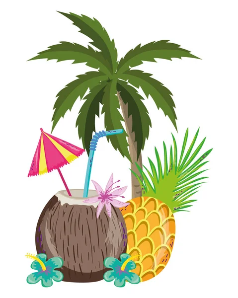 Bebidas tropicales y de verano — Vector de stock