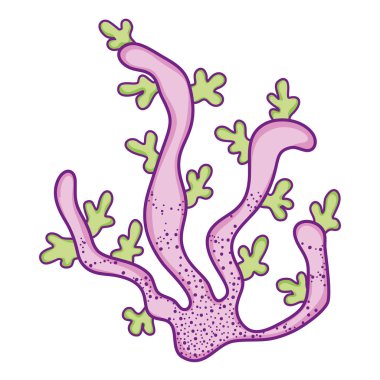 Deniz yosunu karikatür izole
