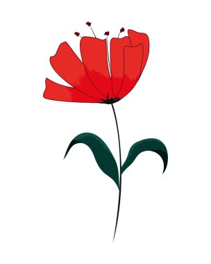 doğa egzotik çiçek bitki stili