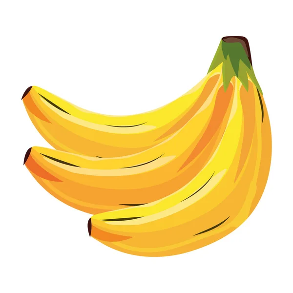 Dessin animé de fruits tropicaux — Image vectorielle
