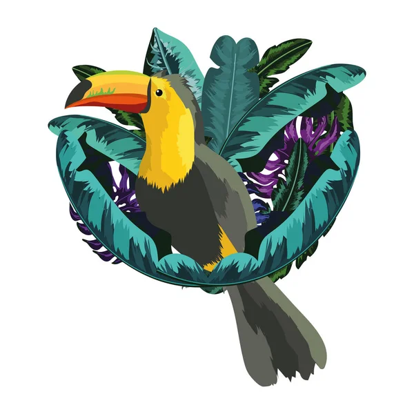 Екзотичні та тропічні птахи — стоковий вектор