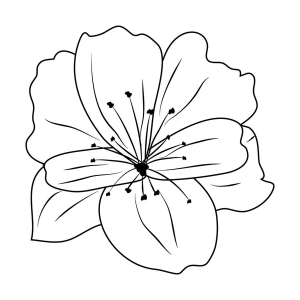 Περίγραμμα εξωτικό λουλούδι με φύση πέταλα στυλ — Διανυσματικό Αρχείο