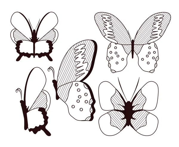Schöne Schmetterlinge Sammlung — Stockvektor