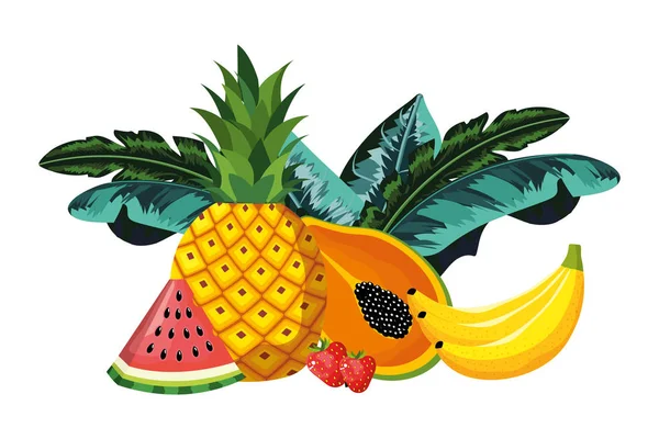 Kreskówka owoców tropikalnych — Wektor stockowy