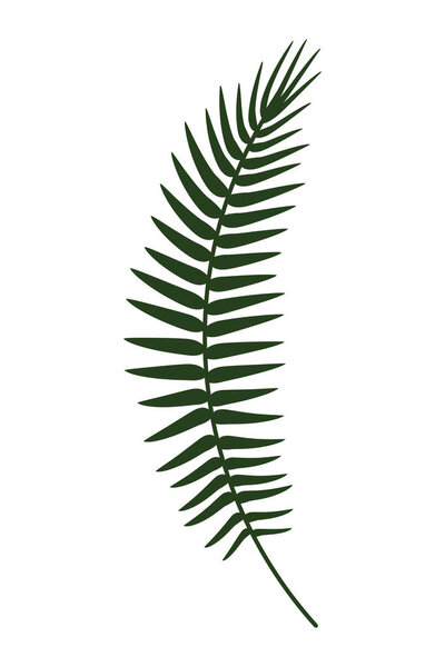 Букет листьев
