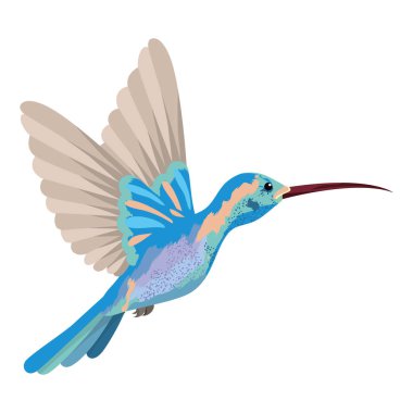 Colibri egzotik ve tropik kuş