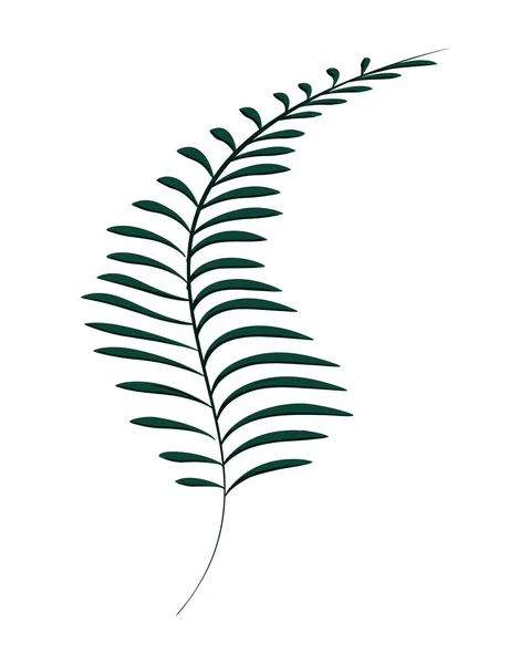 Branche exotique rustique plante avec des feuilles — Image vectorielle