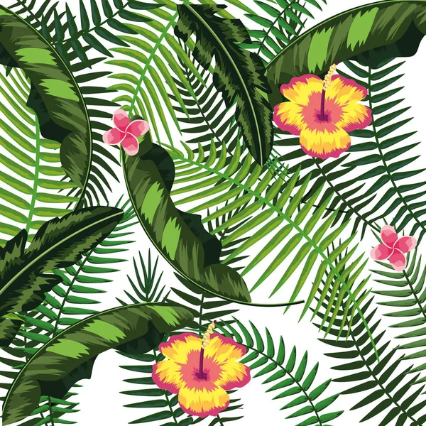热带花卉背景 — 图库矢量图片