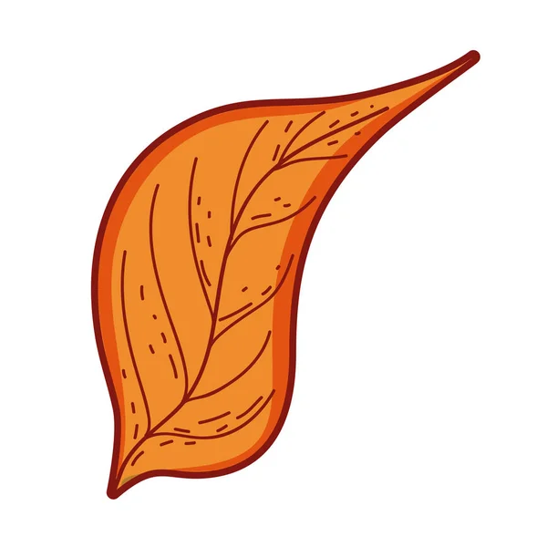 Рисунок листьев природы — стоковый вектор