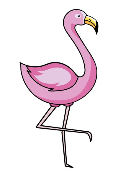 Desenho animado flamingo rosa —  Vetores de Stock