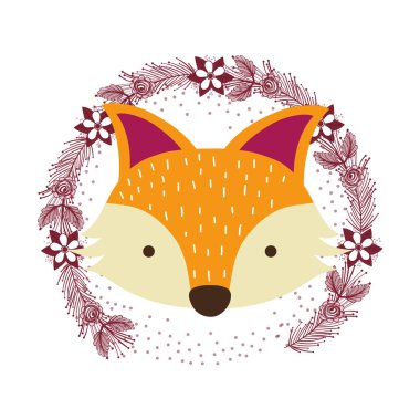 Fox sadece yüzü