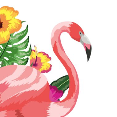 Egzotik ve tropik kuş