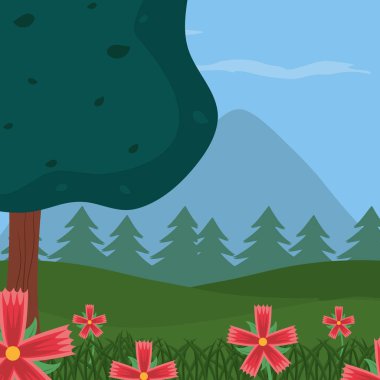 güzel orman manzarası