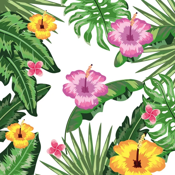 Tropische bloemen achtergrond — Stockvector