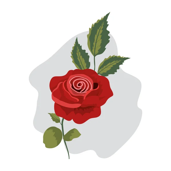 Exotické růže krásy lístky a listy — Stockový vektor