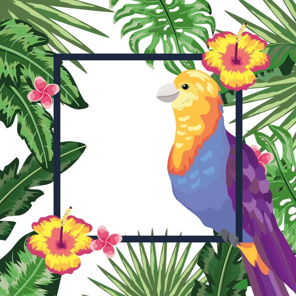 Pájaro exótico y tropical — Vector de stock