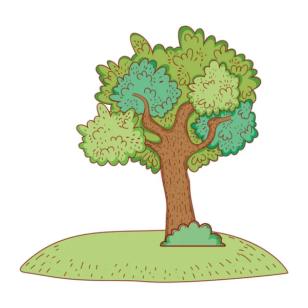 Ağaç doğa üzerinde — Stok Vektör