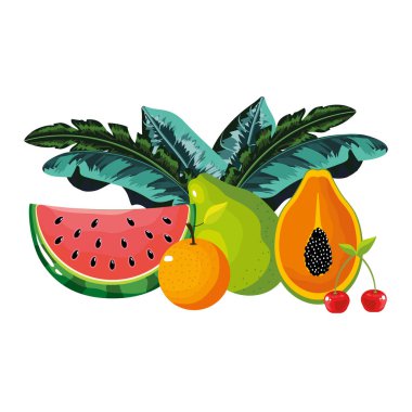 tropikal meyve çizgi filmi