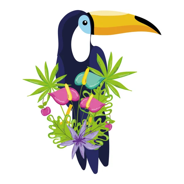 Dibujos animados de tucano de aves tropicales — Archivo Imágenes Vectoriales