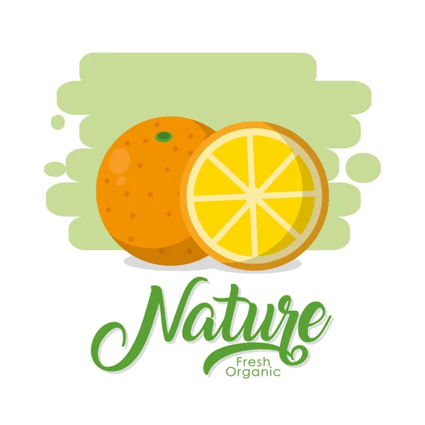 Naturaleza frutas dibujos animados — Vector de stock