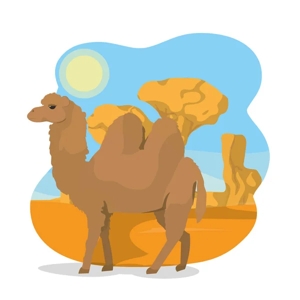 Camello en el desierto — Vector de stock