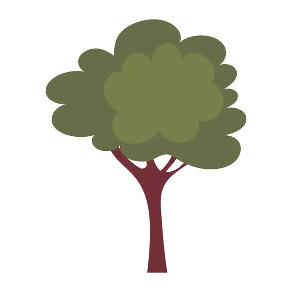 Naturaleza árbol de dibujos animados — Vector de stock