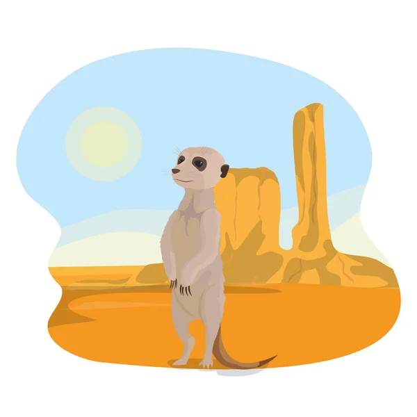 Meerkat no deserto — Vetor de Stock