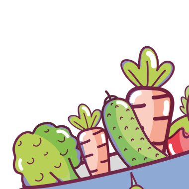 Sebze havuç ve brocccoli salatalık ile