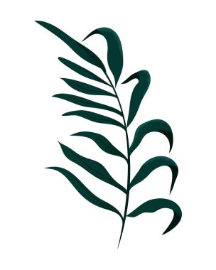 tropikal bitki dal doğa ile yaprakları