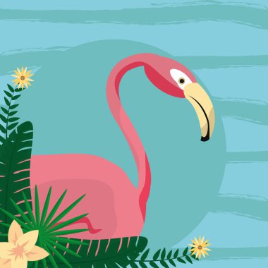 Flamenko egzotik kuş