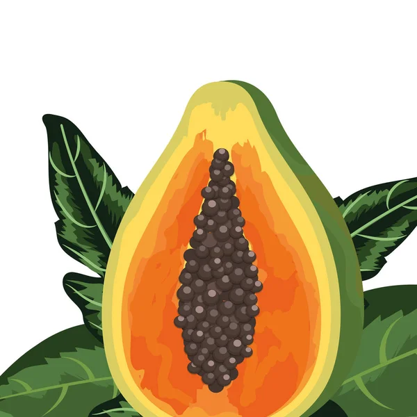 Dessin animé de fruits tropicaux — Image vectorielle