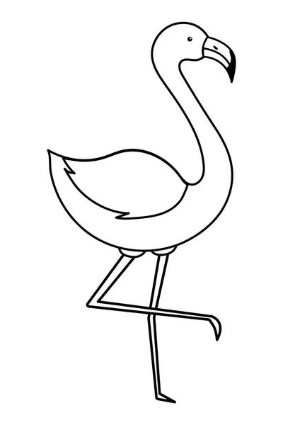 Rosafarbener Flamingo-Cartoon — Stockvektor