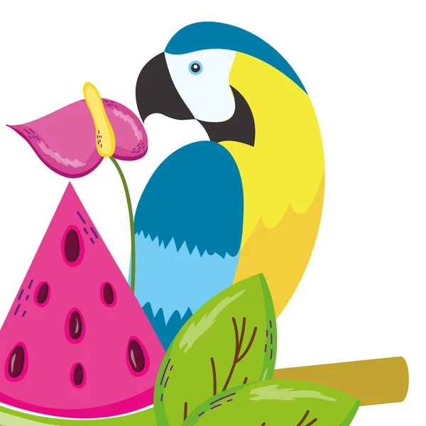 Dibujos animados de loro pájaro tropical — Vector de stock