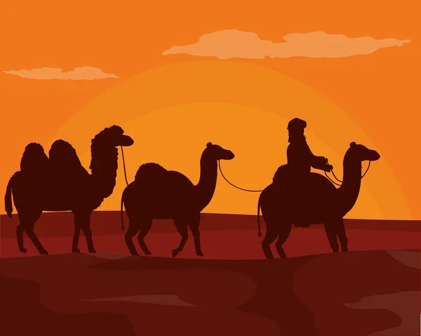 Arabiska med kameler på öknen — Stock vektor