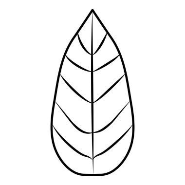 tropikal palmiye yaprağı çizgi film