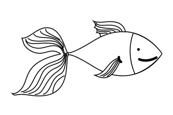 Anahat şirin balık egzotik deniz hayvan — Stok Vektör