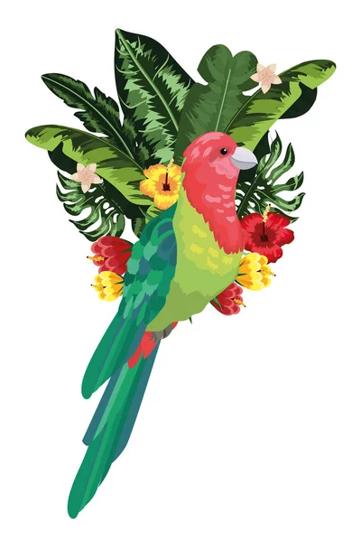 Egzotyczne i tropikalne ptak — Wektor stockowy