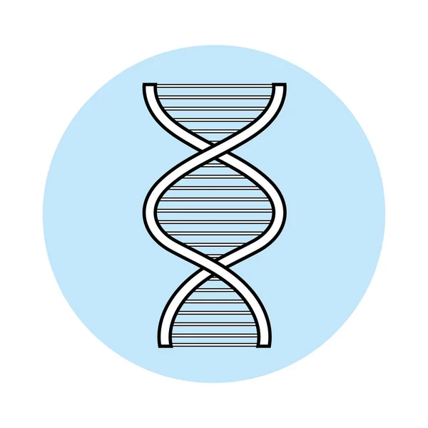 Símbolo de ADN humano — Vetor de Stock