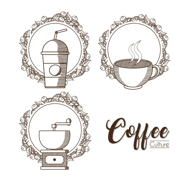 Emblemas de la cultura del café — Vector de stock