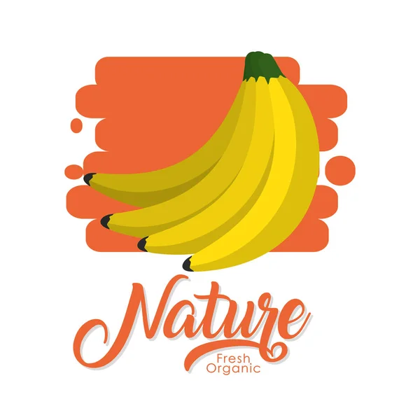 Caricature fruits nature — Image vectorielle