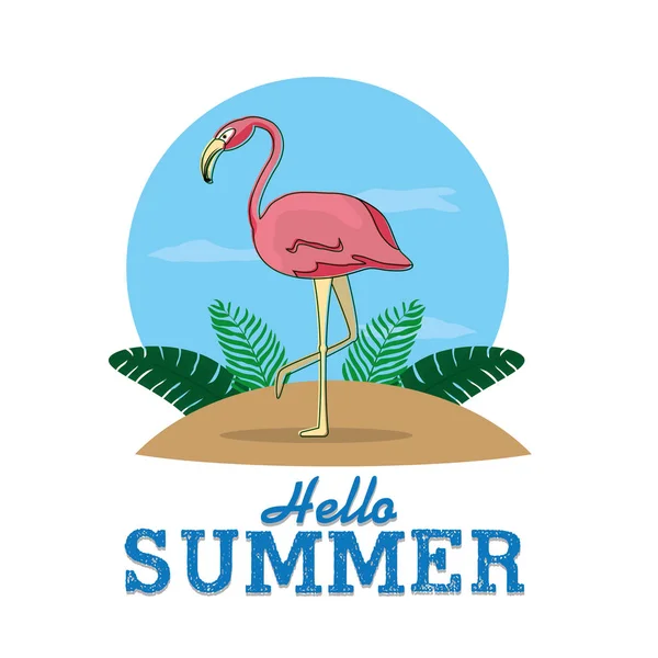 Hallo zomerkaart — Stockvector