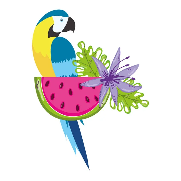 Tropical bird parrot cartoon — Stock Vector