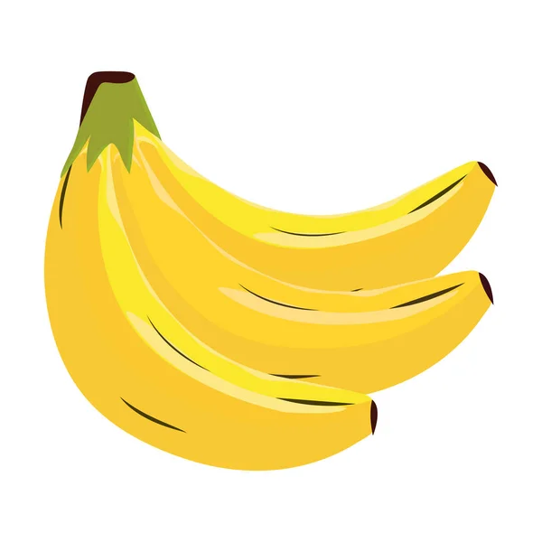 Fruta de banana isolada —  Vetores de Stock