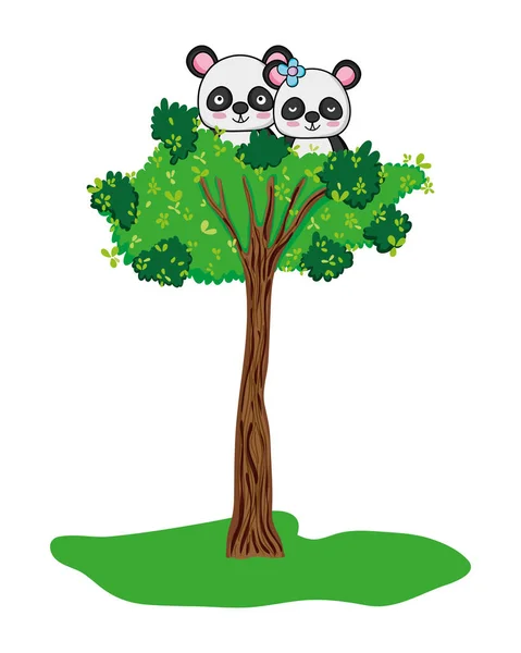 Schattige panda wilde dieren en boom — Stockvector