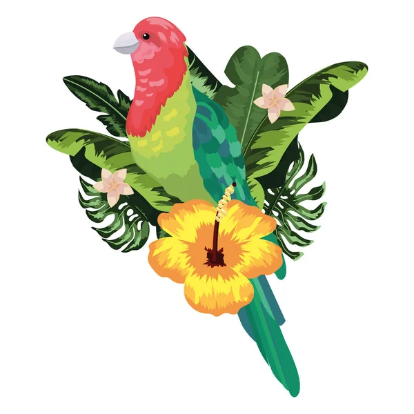 Egzotyczne i tropikalne ptak — Wektor stockowy