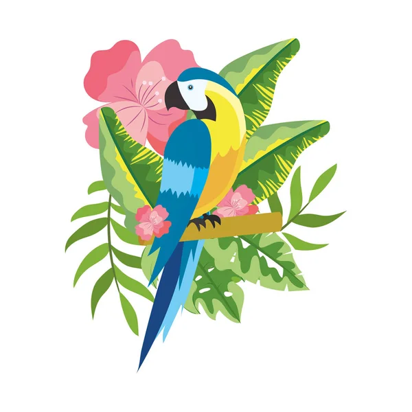 Cute tropical parrot cartoon — Stock Vector